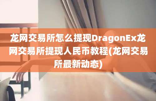 龙网交易所怎么提现DragonEx龙网交易所提现人民币教程(龙网交易所最新动态)