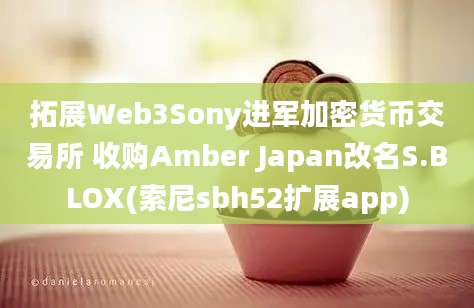 拓展Web3Sony进军加密货币交易所 收购Amber Japan改名S.BLOX(索尼sbh52扩展app)