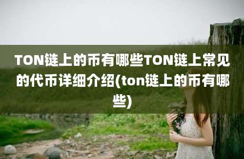 TON链上的币有哪些TON链上常见的代币详细介绍(ton链上的币有哪些)