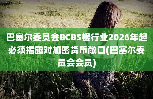 巴塞尔委员会BCBS银行业2026年起必须揭露对加密货币敞口(巴塞尔委员会会员)