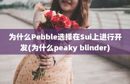 为什么Pebble选择在Sui上进行开发(为什么peaky blinder)