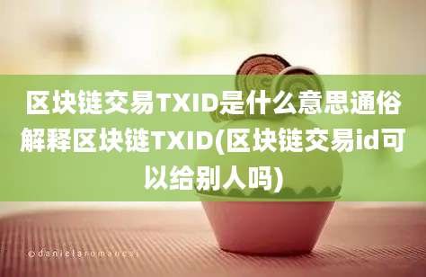 区块链交易TXID是什么意思通俗解释区块链TXID(区块链交易id可以给别人吗)