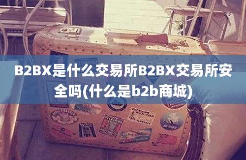 B2BX是什么交易所B2BX交易所安全吗(什么是b2b商城)