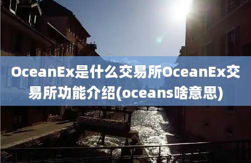 OceanEx是什么交易所OceanEx交易所功能介绍(oceans啥意思)