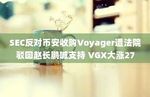 SEC反对币安收购Voyager遭法院驳回赵长鹏喊支持 VGX大涨27