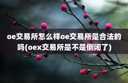 oe交易所怎么样oe交易所是合法的吗(oex交易所是不是倒闭了)