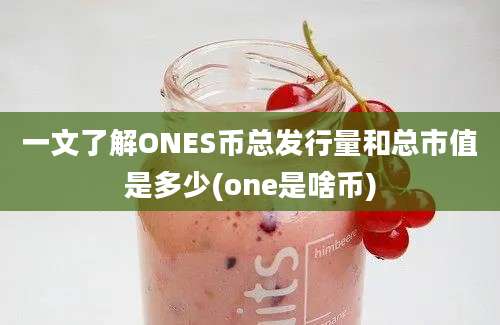 一文了解ONES币总发行量和总市值是多少(one是啥币)