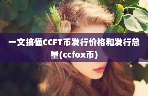 一文搞懂CCFT币发行价格和发行总量(ccfox币)