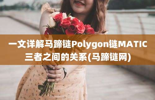 一文详解马蹄链Polygon链MATIC三者之间的关系(马蹄链网)