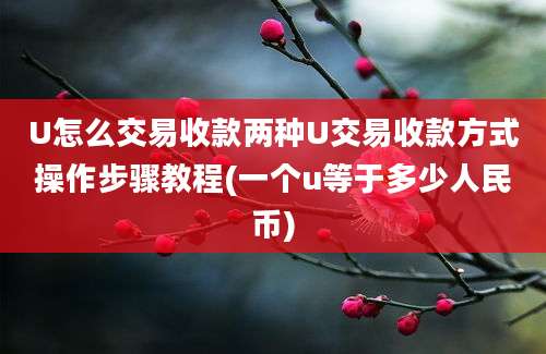 U怎么交易收款两种U交易收款方式操作步骤教程(一个u等于多少人民币)