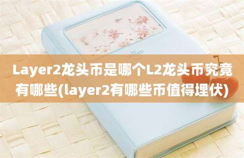 Layer2龙头币是哪个L2龙头币究竟有哪些(layer2有哪些币值得埋伏)