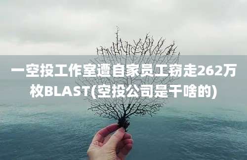 一空投工作室遭自家员工窃走262万枚BLAST(空投公司是干啥的)