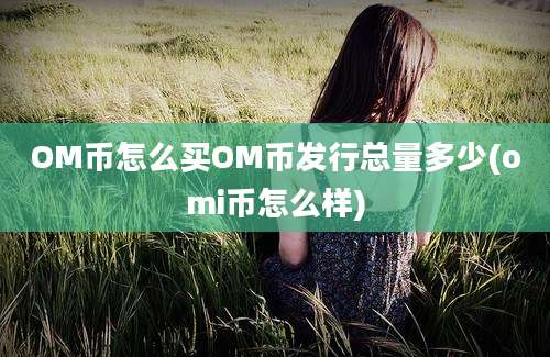 OM币怎么买OM币发行总量多少(omi币怎么样)