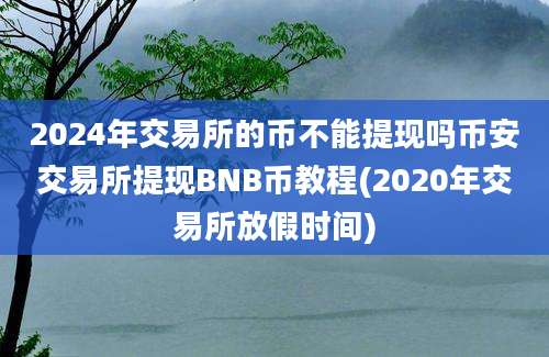 2024年交易所的币不能提现吗币安交易所提现BNB币教程(2020年交易所放假时间)