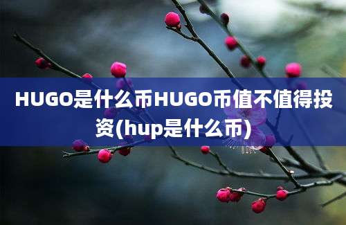 HUGO是什么币HUGO币值不值得投资(hup是什么币)