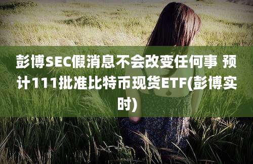 彭博SEC假消息不会改变任何事 预计111批准比特币现货ETF(彭博实时)