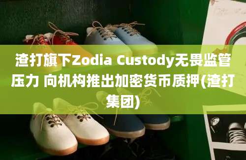 渣打旗下Zodia Custody无畏监管压力 向机构推出加密货币质押(渣打集团)