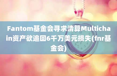 Fantom基金会寻求清算Multichain资产欲追回6千万美元损失(fnr基金会)