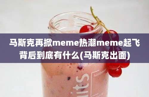 马斯克再掀meme热潮meme起飞背后到底有什么(马斯克出面)