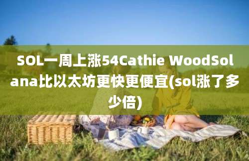 SOL一周上涨54Cathie WoodSolana比以太坊更快更便宜(sol涨了多少倍)