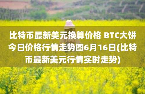 比特币最新美元换算价格 BTC大饼今日价格行情走势图6月16日(比特币最新美元行情实时走势)