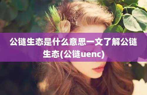 公链生态是什么意思一文了解公链生态(公链uenc)