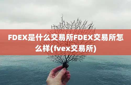 FDEX是什么交易所FDEX交易所怎么样(fvex交易所)