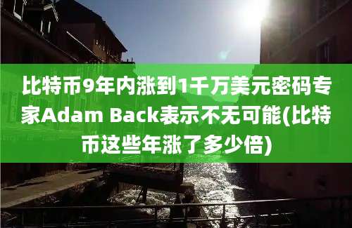 比特币9年内涨到1千万美元密码专家Adam Back表示不无可能(比特币这些年涨了多少倍)