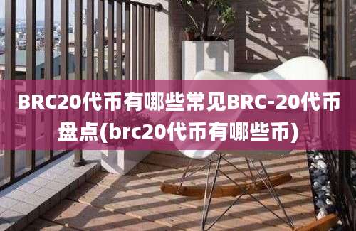 BRC20代币有哪些常见BRC-20代币盘点(brc20代币有哪些币)