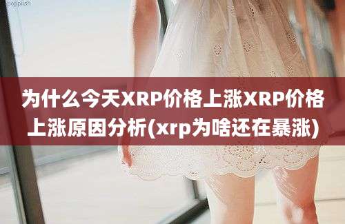 为什么今天XRP价格上涨XRP价格上涨原因分析(xrp为啥还在暴涨)