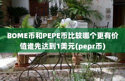 BOME币和PEPE币比较哪个更有价值谁先达到1美元(pepr币)