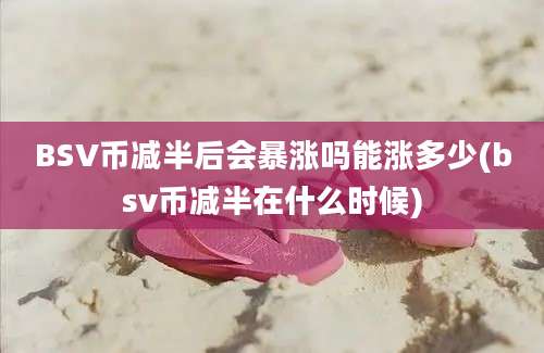 BSV币减半后会暴涨吗能涨多少(bsv币减半在什么时候)