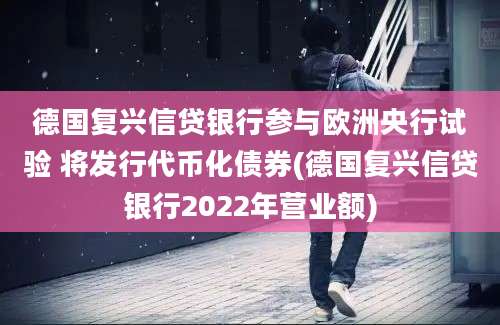 德国复兴信贷银行参与欧洲央行试验 将发行代币化债券(德国复兴信贷银行2022年营业额)