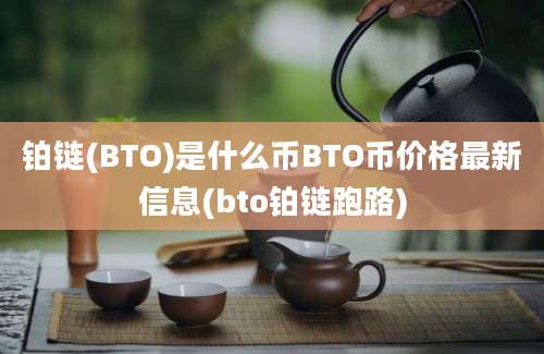 铂链(BTO)是什么币BTO币价格最新信息(bto铂链跑路)