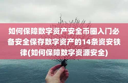 如何保障数字资产安全币圈入门必备安全保存数字资产的14条资安铁律(如何保障数字资源安全)