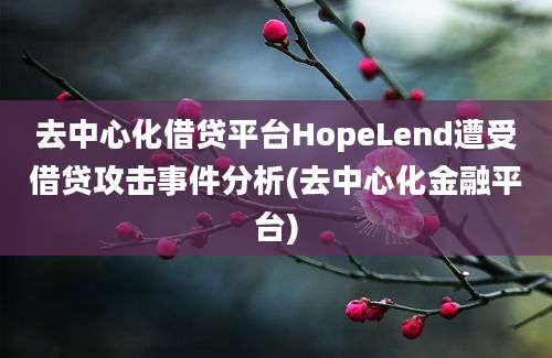 去中心化借贷平台HopeLend遭受借贷攻击事件分析(去中心化金融平台)