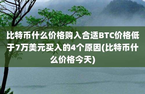 比特币什么价格购入合适BTC价格低于7万美元买入的4个原因(比特币什么价格今天)