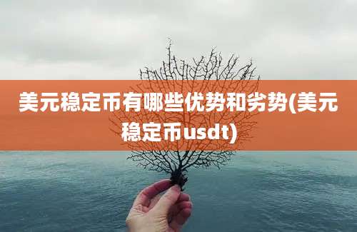 美元稳定币有哪些优势和劣势(美元稳定币usdt)