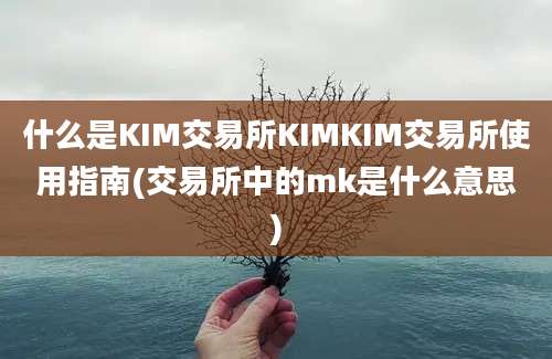 什么是KIM交易所KIMKIM交易所使用指南(交易所中的mk是什么意思)