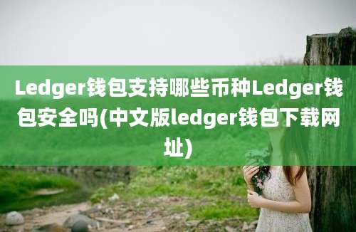 Ledger钱包支持哪些币种Ledger钱包安全吗(中文版ledger钱包下载网址)