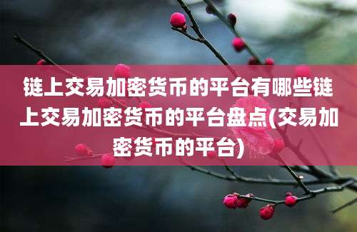 链上交易加密货币的平台有哪些链上交易加密货币的平台盘点(交易加密货币的平台)