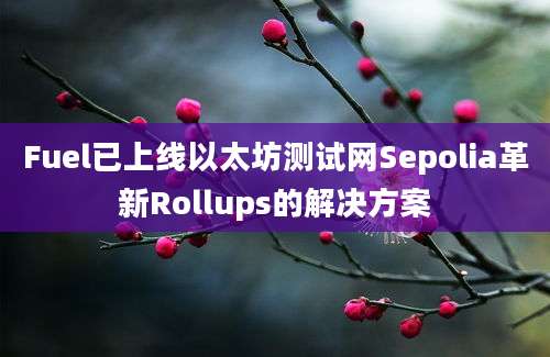 Fuel已上线以太坊测试网Sepolia革新Rollups的解决方案