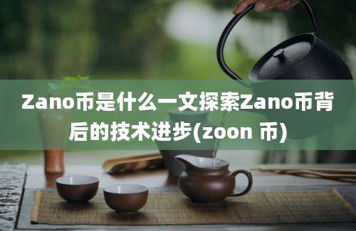 Zano币是什么一文探索Zano币背后的技术进步(zoon 币)