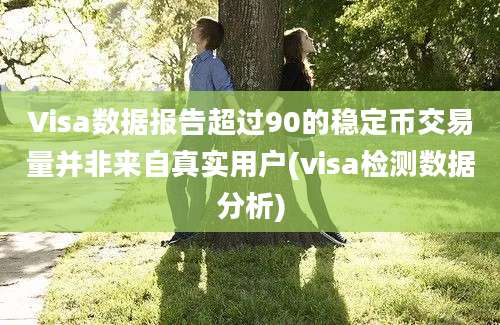 Visa数据报告超过90的稳定币交易量并非来自真实用户(visa检测数据分析)