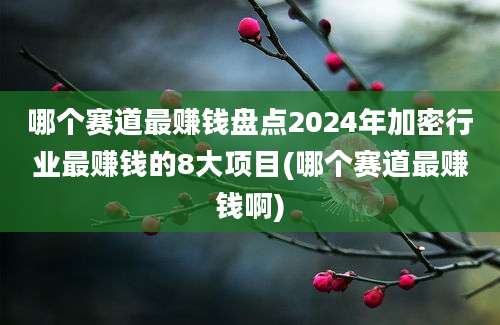 哪个赛道最赚钱盘点2024年加密行业最赚钱的8大项目(哪个赛道最赚钱啊)