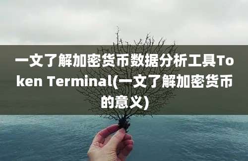 一文了解加密货币数据分析工具Token Terminal(一文了解加密货币的意义)