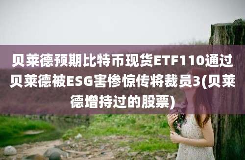 贝莱德预期比特币现货ETF110通过贝莱德被ESG害惨惊传将裁员3(贝莱德增持过的股票)