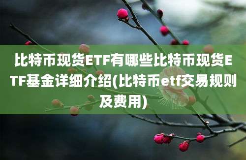 比特币现货ETF有哪些比特币现货ETF基金详细介绍(比特币etf交易规则及费用)