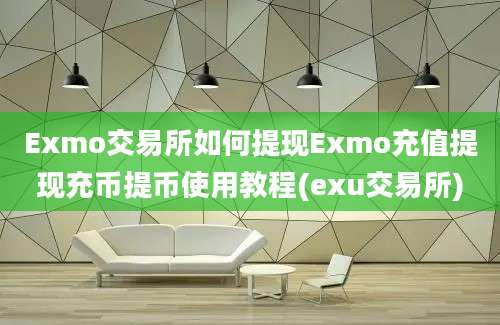 Exmo交易所如何提现Exmo充值提现充币提币使用教程(exu交易所)