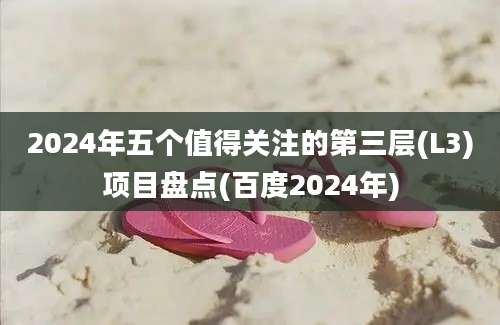 2024年五个值得关注的第三层(L3)项目盘点(百度2024年)